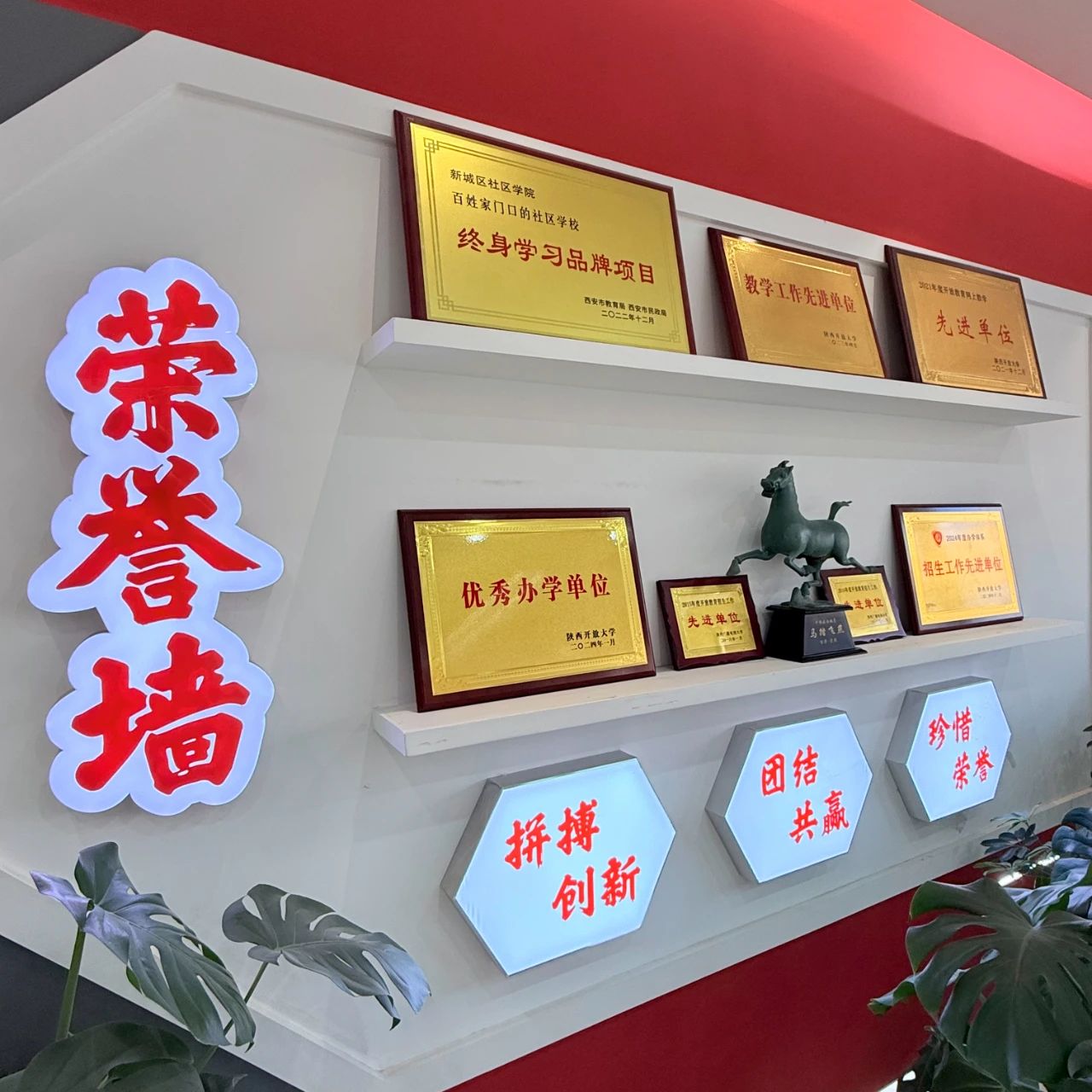 【优秀校友系列报道19】党玮：以奋斗为笔，书写青春华章